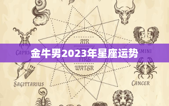 金牛男2023年星座运势(财运亨通事业有成)