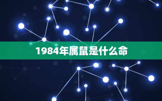 1984年属鼠是什么命(解析属鼠人的性格特点和运势)