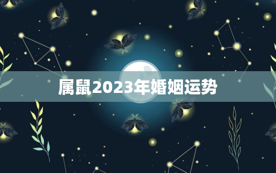 属鼠2023年婚姻运势(顺风顺水婚姻美满幸福)