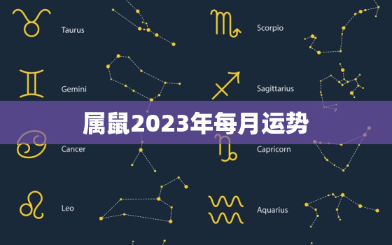 属鼠2023年每月运势(详解2023年鼠年各月份运势)