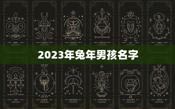 2023年兔年男孩名字(如何选择)