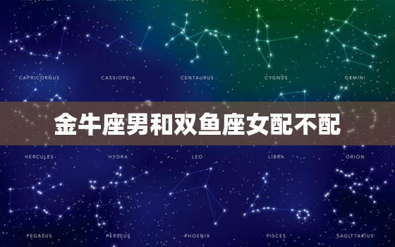 金牛座男和双鱼座女配不配(星座配对大揭秘)