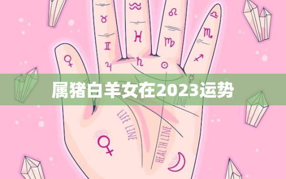 属猪白羊女在2023运势(好运连连财源滚滚)