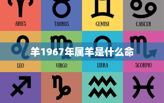 羊1967年属羊是什么命(解析属羊人的性格特点和运势)