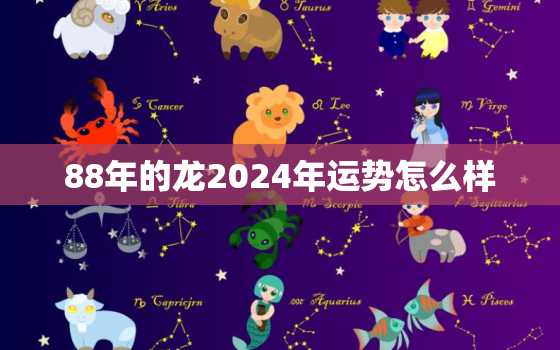 88年的龙2024年运势怎么样（88龙2024年运程展望）