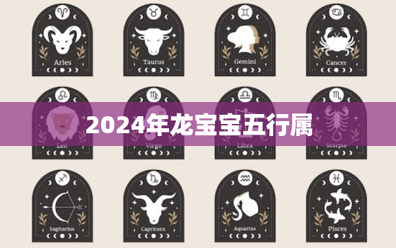 2024年龙宝宝五行属（龙年宝宝五行归属探讨）