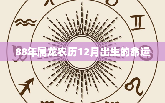 88年属龙农历12月出生的命运（88年腊月龙命运探秘）