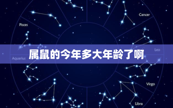 属鼠的今年多大年龄了啊，属鼠的今年多大岁数？