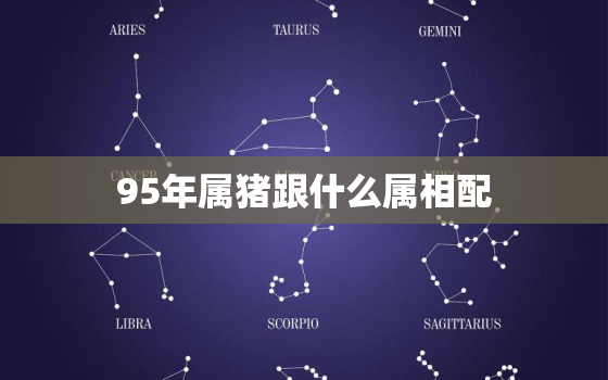 95年属猪跟什么属相配，95年属猪的婚配和什么属相最好