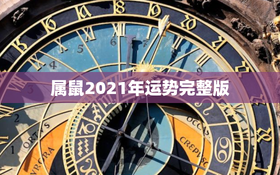 属鼠2021年运势完整版，2021鼠人全年运势