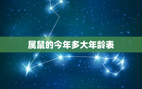 属鼠的今年多大年龄表，属鼠的今年多大了2021