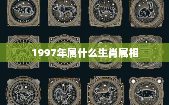 1997年属什么生肖属相，97年属牛是什么命理 90年属马的