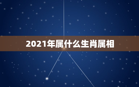 2021年属什么生肖属相，9月的生肖猴好不好 生肖猴2021