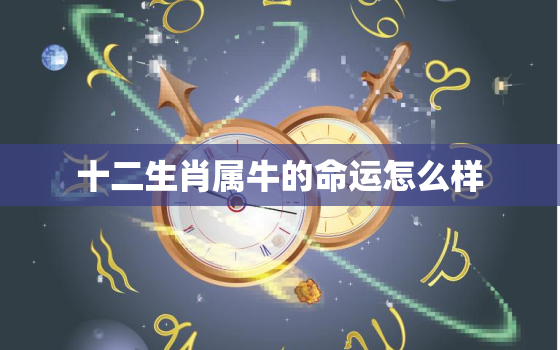 十二生肖属牛的命运怎么样，属牛十一月二十七属什么命相生相克的属相是什么