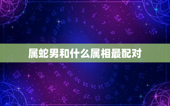 属蛇男和什么属相最配对，属相蛇男生和什么属相最配