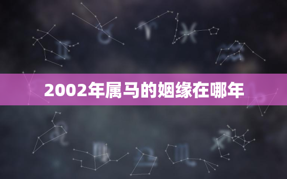 2002年属马的姻缘在哪年，男02年属马的和女99年属虎的,婚姻相合吗