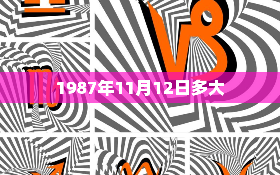 1987年11月12日多大，87年农历11月12日是阳历多少号?