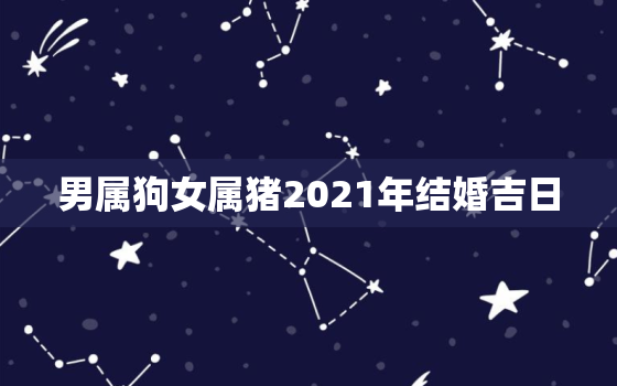 男属狗女属猪2021年结婚吉日，属狗男和属猪女2021年农历正月几日结