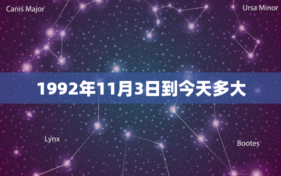 1992年11月3日到今天多大，我的生日是1996年11月3日，到今天