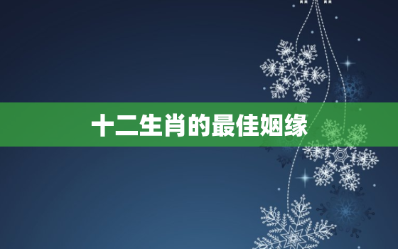 十二生肖的最佳姻缘，十二生肖婚姻配偶怎么才最好