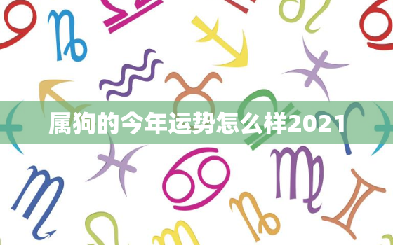 属狗的今年运势怎么样2021，狗年运势2021运势详解