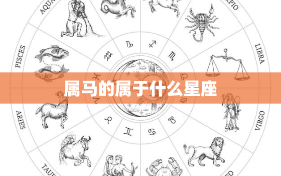 属马的属于什么星座，属马的星座是什么？