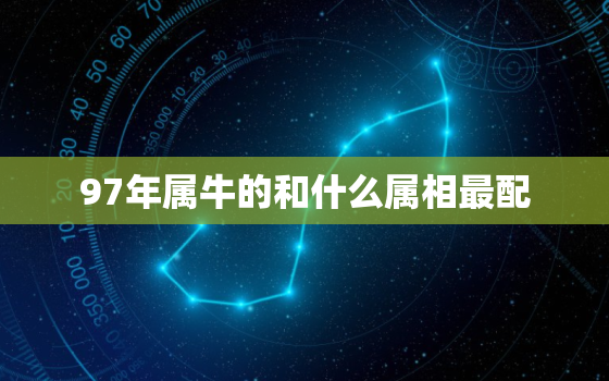 97年属牛的和什么属相最配，85年属牛的最佳配偶 1985年