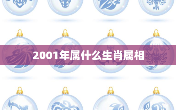 2001年属什么生肖属相，属蛇的19年姻缘如何