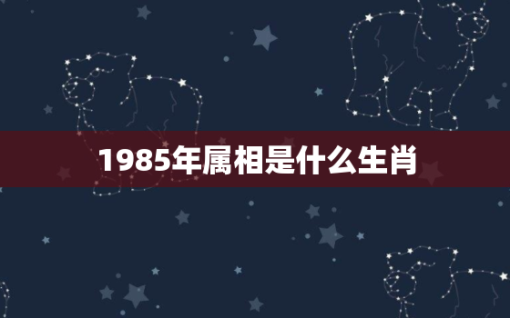 1985年属相是什么生肖，85年属牛生肖2018年运势