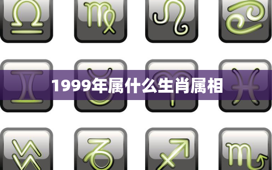 1999年属什么生肖属相，1999鼠年属兔人的运势如何