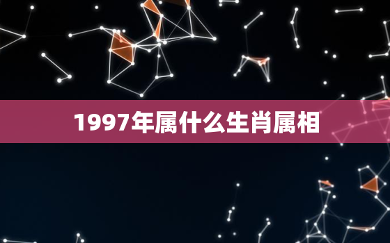 1997年属什么生肖属相，5、年出生人什么属相:十二生肖种，