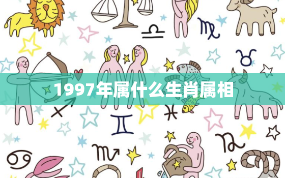 1997年属什么生肖属相，5、年出生人什么属相:十二生肖种，