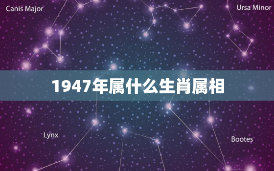 1947年属什么生肖属相，猪和什么属相相冲