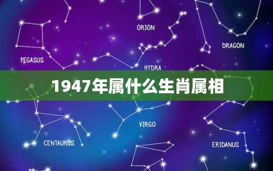 1947年属什么生肖属相，1948年属什么生肖 1948年五