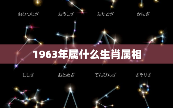 1963年属什么生肖属相，1963年属什么生肖的，属兔是什么