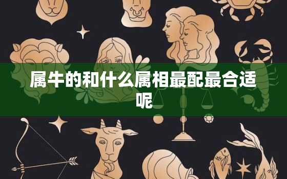 属牛的和什么属相最配最合适呢，96的鼠女适合哪种属相婚配，9