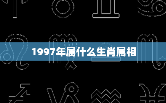 1997年属什么生肖属相，生肖马人一生中性格与命运是怎样的呢