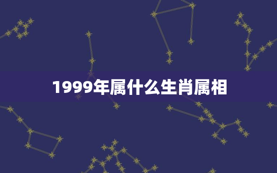 1999年属什么生肖属相，1999属兔的婚配最佳属相 99的