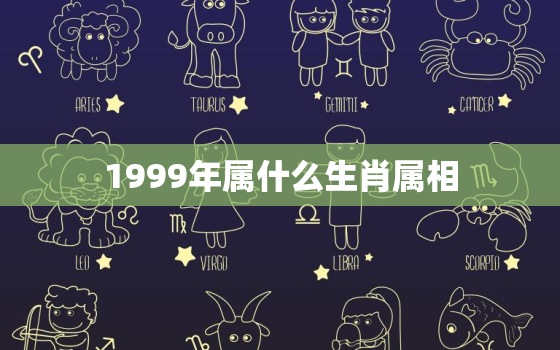 1999年属什么生肖属相，1999属兔的婚配最佳属相 99的