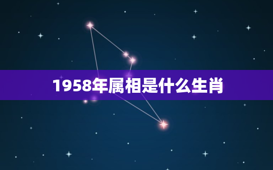 1958年属相是什么生肖，不同年份出生的属狗的今年多大了，按