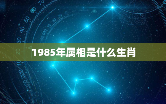 1985年属相是什么生肖，生肖运势解析 八五年属什么生肖几岁