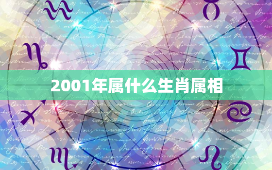 2001年属什么生肖属相，1953、1965、1977、19