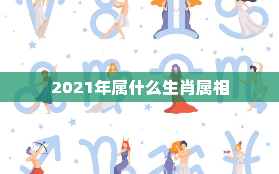 2021年属什么生肖属相，2022年出生的属什么生肖？为什么