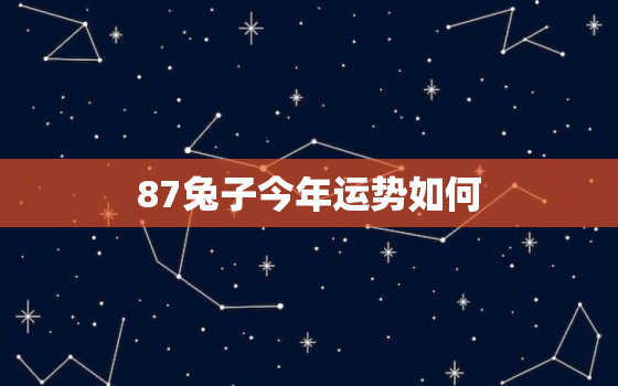 87兔子今年运势如何，87年属兔的今天运势怎么样