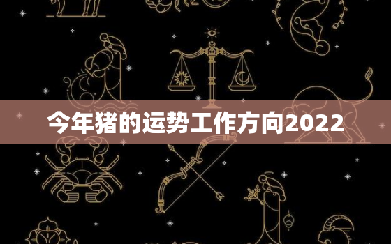 今年猪的运势工作方向2022