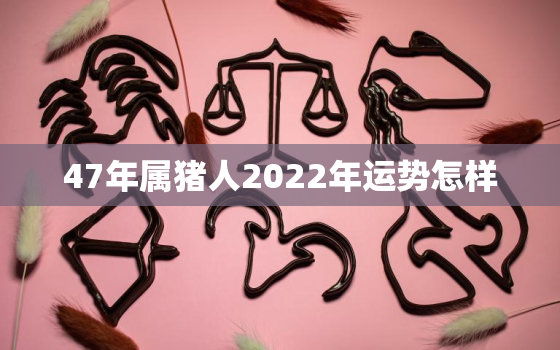 47年属猪人2022年运势怎样，戊辰日柱在2022年运势