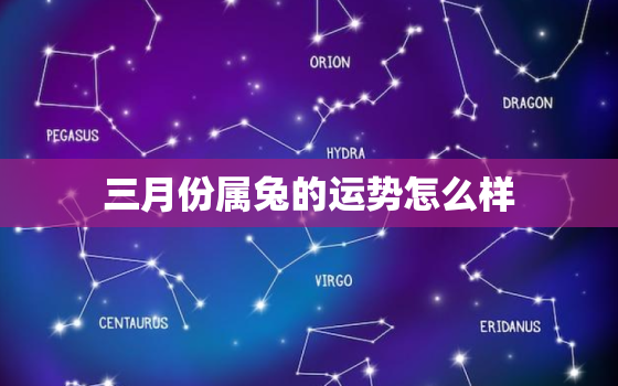 三月份属兔的运势怎么样，属兔农历三月份运势如何