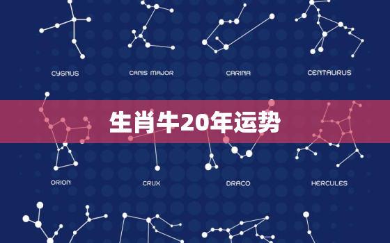 生肖牛20年运势