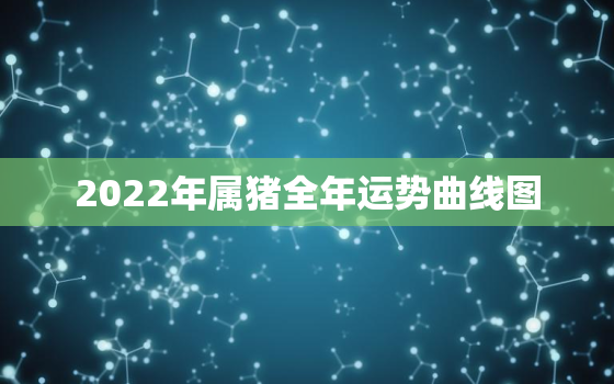 2022年属猪全年运势曲线图，2022
猪年猪人运势