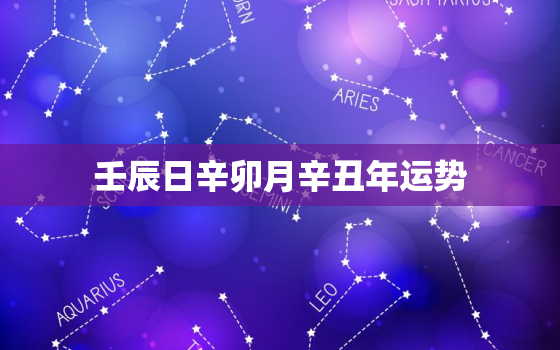 壬辰日辛卯月辛丑年运势，辛丑年 壬辰月 辛卯日